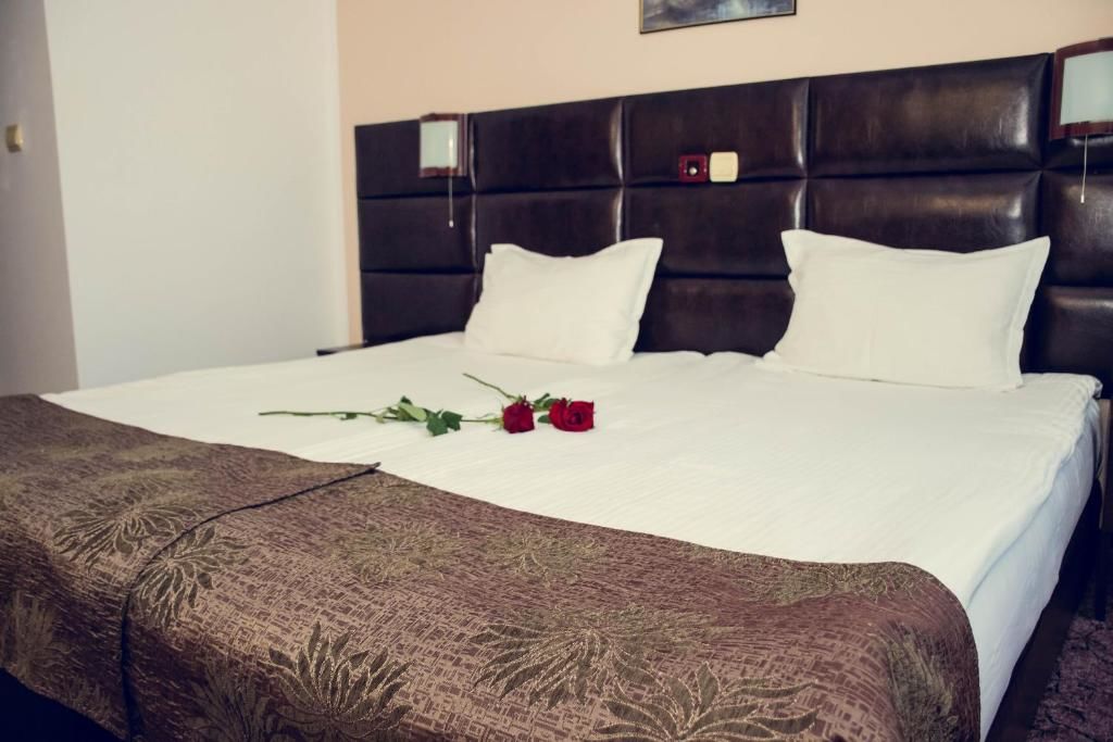 Отель Zdravets SPA Hotel Велинград